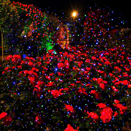 Outdoor Laser Light Projector – view 2